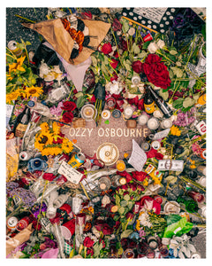 Ozzy