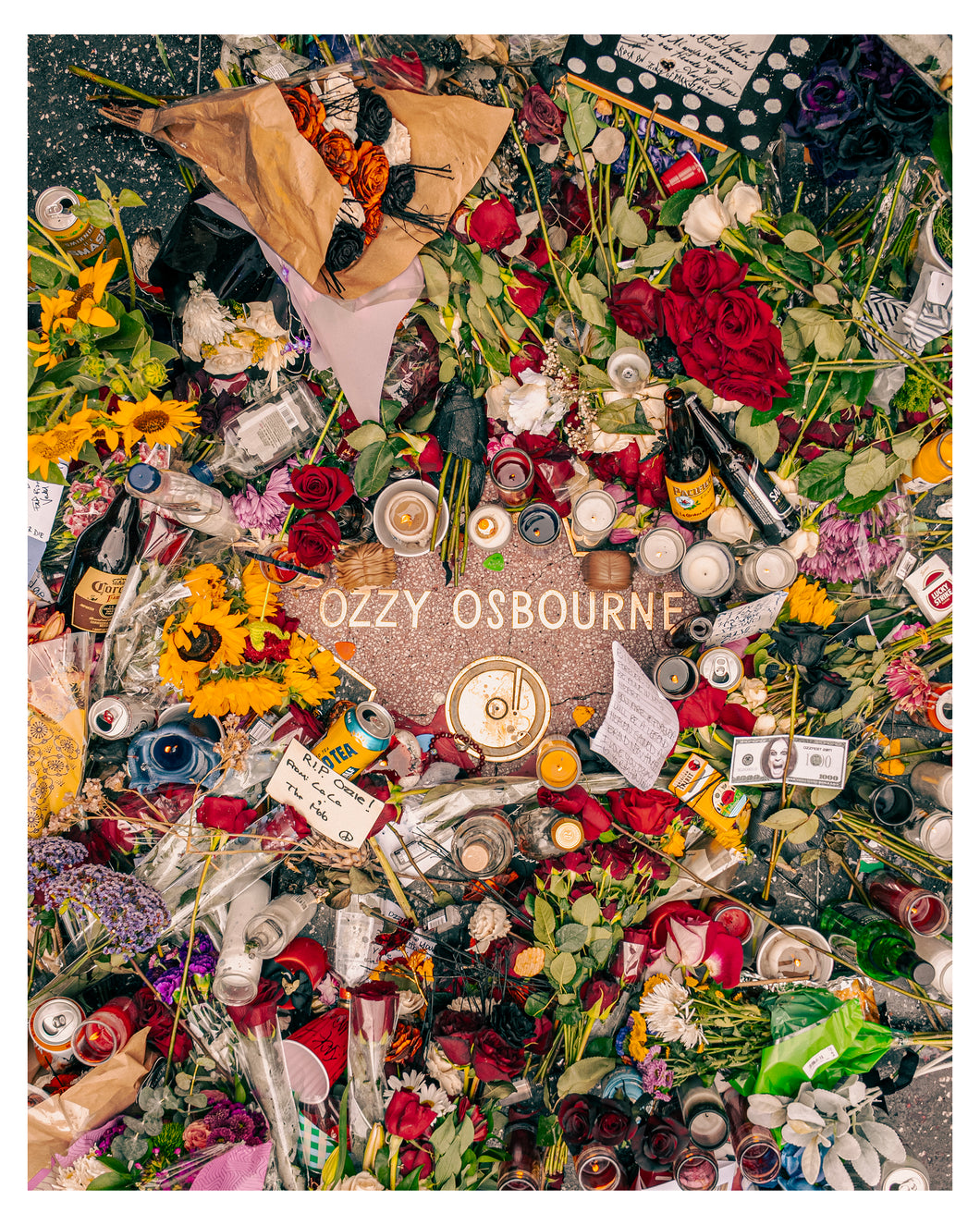 Ozzy