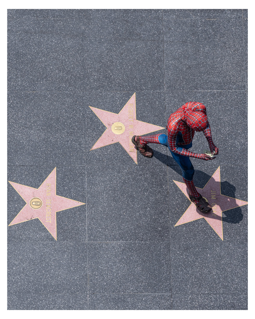 Spidey & the Stars
